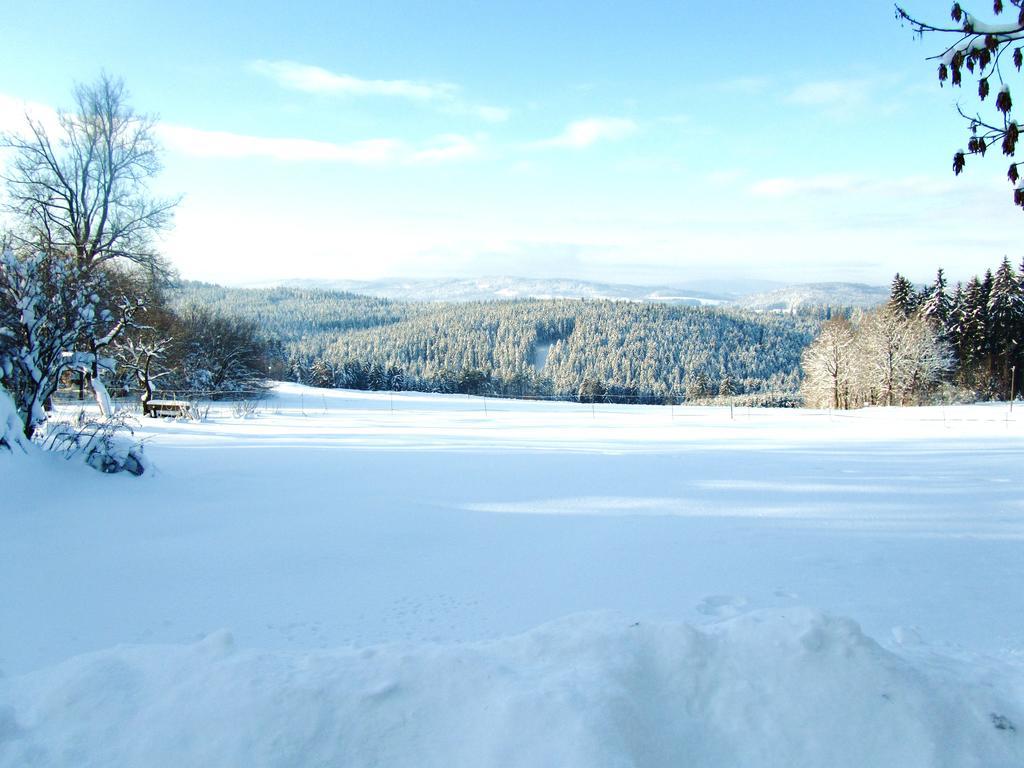 Ferienhaus Zopfhaeusl Villa Bobrach Bagian luar foto