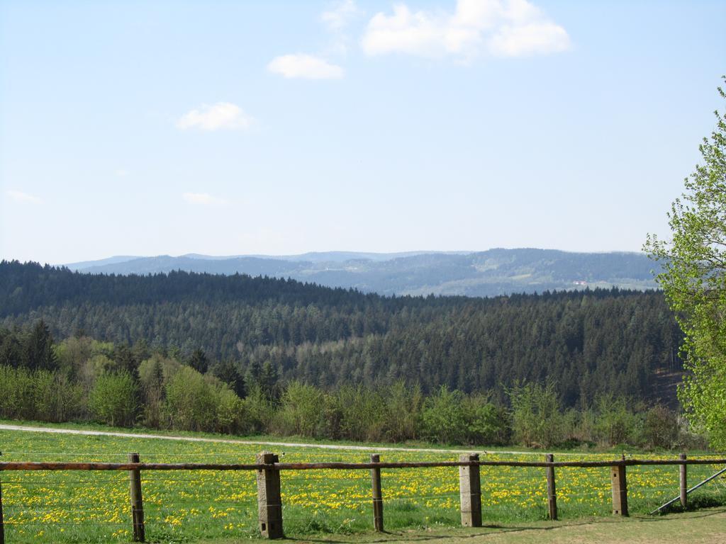 Ferienhaus Zopfhaeusl Villa Bobrach Bagian luar foto