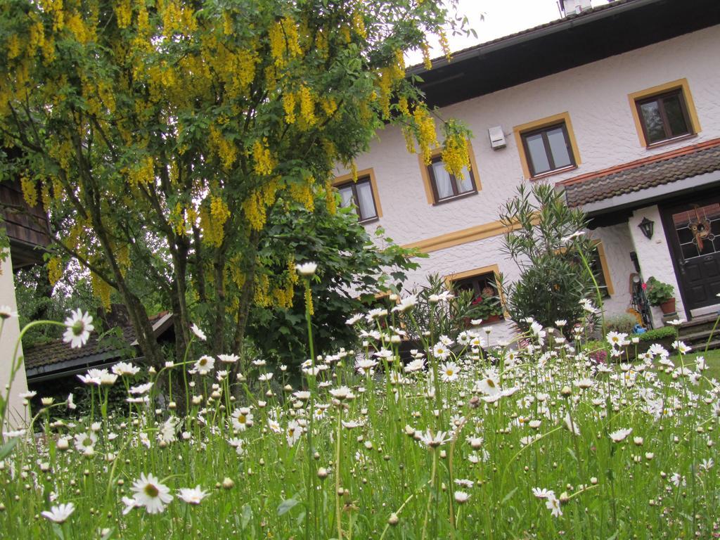 Ferienhaus Zopfhaeusl Villa Bobrach Bagian luar foto