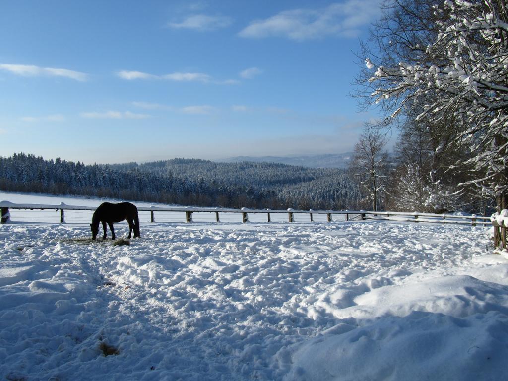 Ferienhaus Zopfhaeusl Villa Bobrach Bagian luar foto