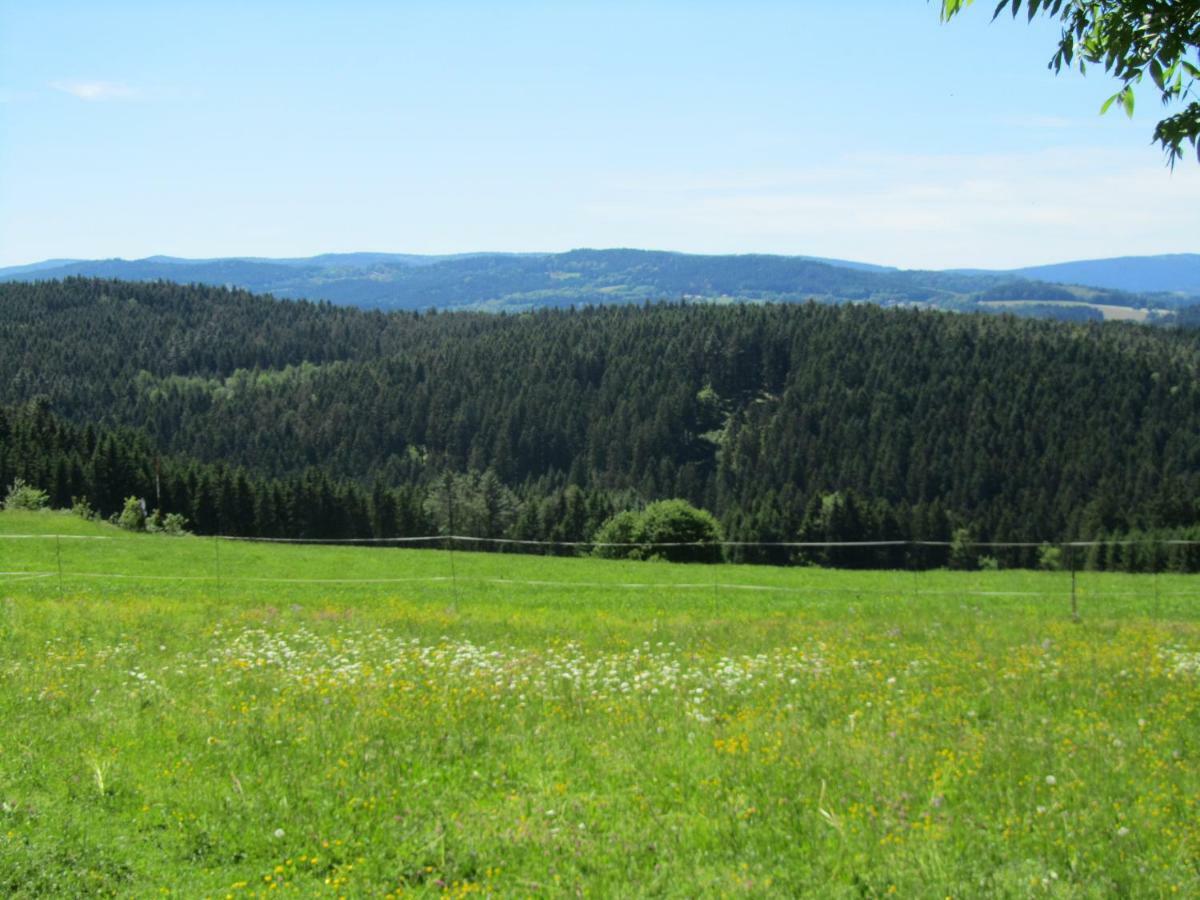 Ferienhaus Zopfhaeusl Villa Bobrach Bagian luar foto