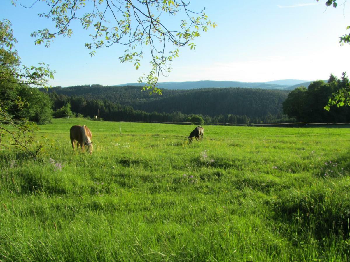 Ferienhaus Zopfhaeusl Villa Bobrach Bagian luar foto