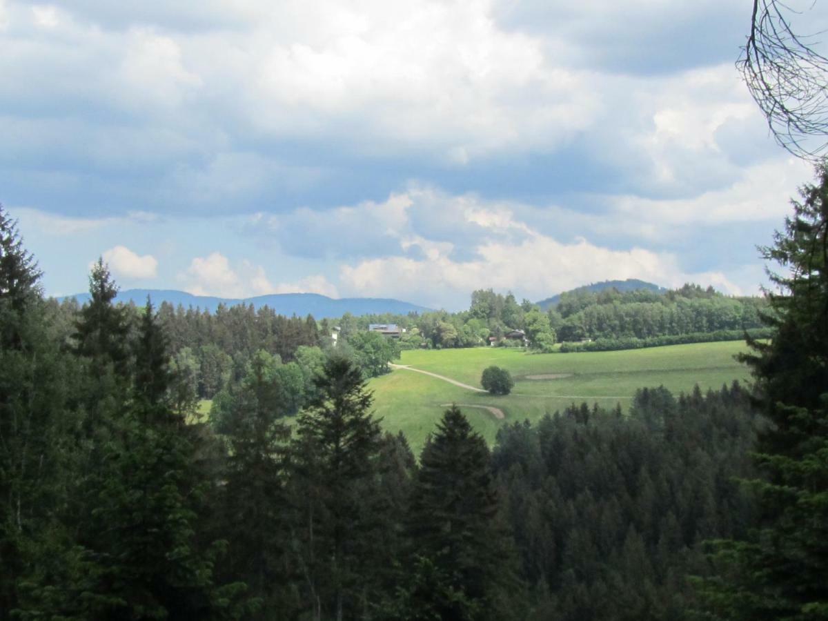 Ferienhaus Zopfhaeusl Villa Bobrach Bagian luar foto